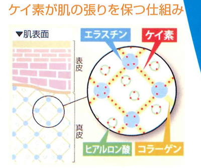 ケイ素で肌のしわ乾燥対策