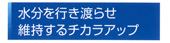 ケイ素で水分保持
