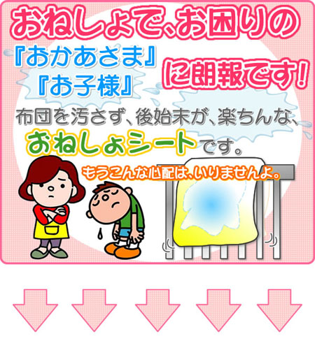 ���ͤ��祷����