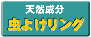 �V�R���������������O