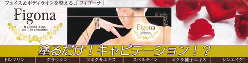 アヴァンシア Figona化粧品