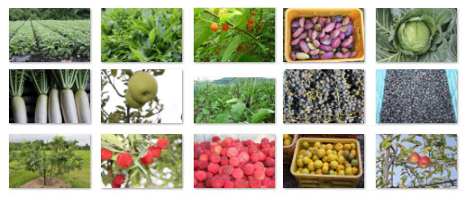 ファスティング原料