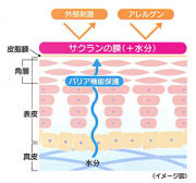 高保湿成分サクランが肌を保護