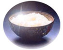 おいしいお米 無農薬米 生命あふれる田んぼのお米