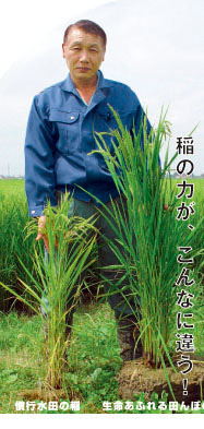 生命あふれる田んぼのお米生産者代表