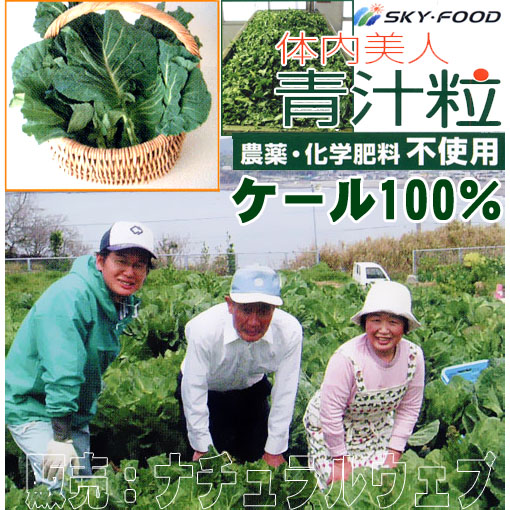 国産ケールの青汁粒