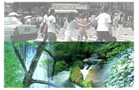 ミネラル ビタミン 天然型サプリメント