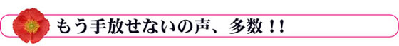 ご愛用者のお声