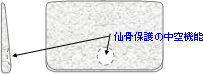 ドクターエルミニの特徴