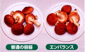抗酸化 エンバランス で しいたけ を 保存