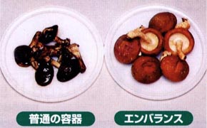 抗酸化 エンバランス で しいたけ を 新鮮 保存