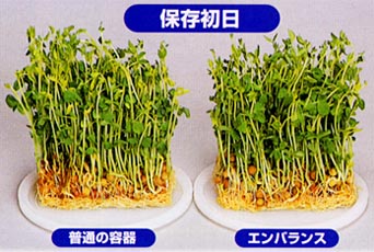 抗酸化 エンバランス で とうみょう を 保存