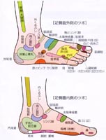 足裏のつぼ刺激図