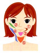 顔のゆがみ むくみ 引き締め トレーニング