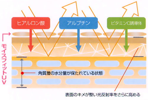 美容液ファンデーション