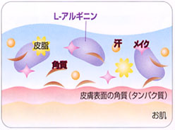 アミノ酸でクレンジング