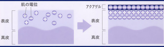 白金ナノコロイドの抗酸化