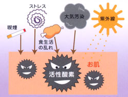 活性酸素の発生原因