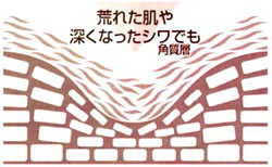 シワや小じわに