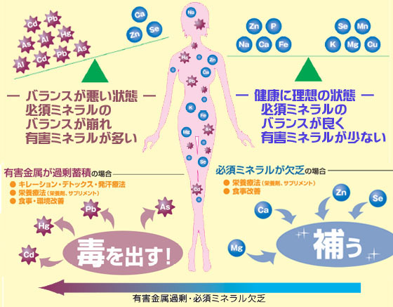 毛髪ミネラル検査を有害物のデトックスに