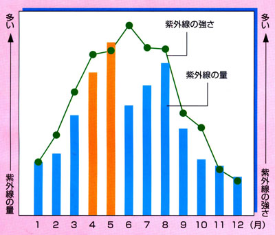 紫外線対策 紫外線情報 UVケア