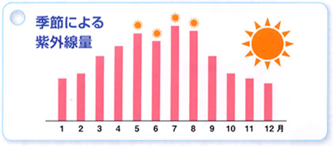 季節による紫外線量の変化